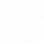 Logo: Rüdiger Kauroff: Homepage